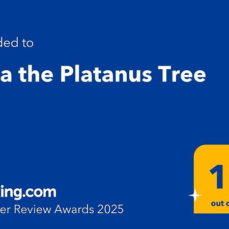 Villa The Platanus Tree Kato Vasiliki エクステリア 写真