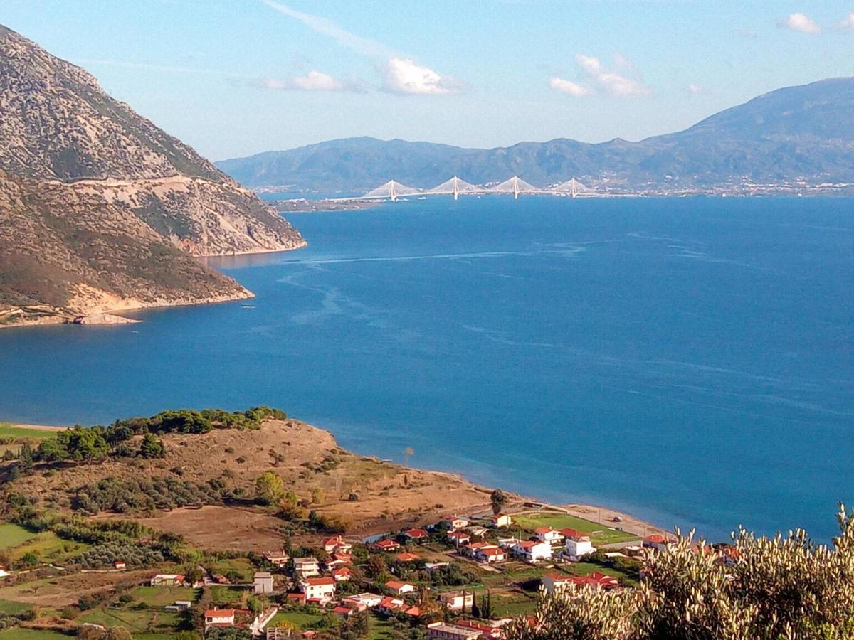 Villa The Platanus Tree Kato Vasiliki エクステリア 写真