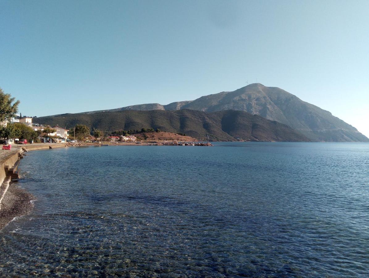 Villa The Platanus Tree Kato Vasiliki エクステリア 写真