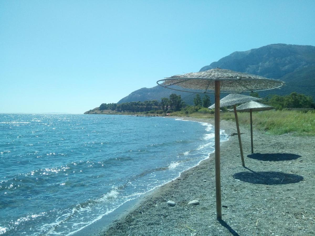Villa The Platanus Tree Kato Vasiliki エクステリア 写真