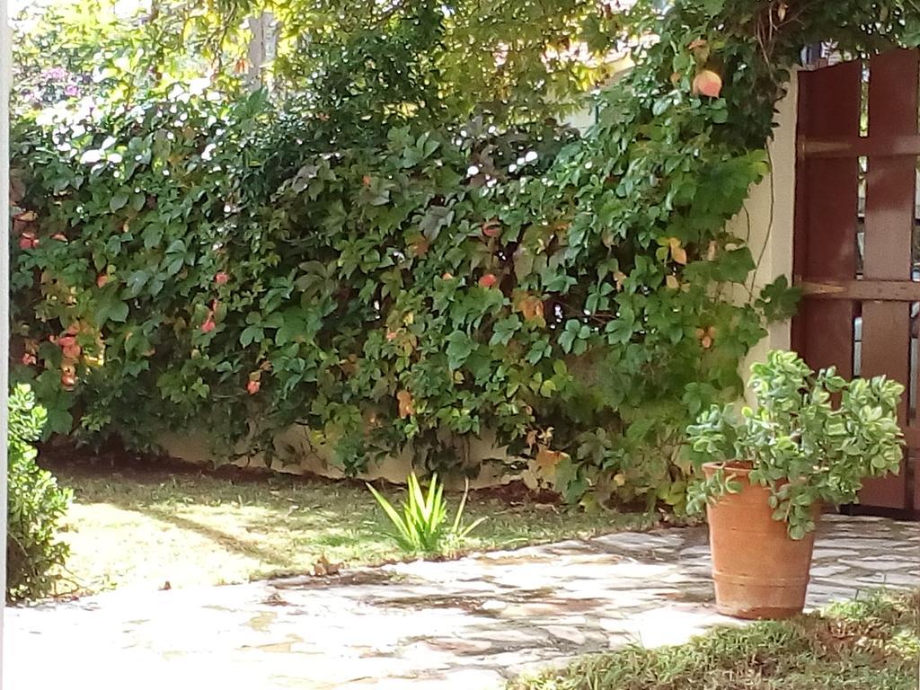 Villa The Platanus Tree Kato Vasiliki エクステリア 写真