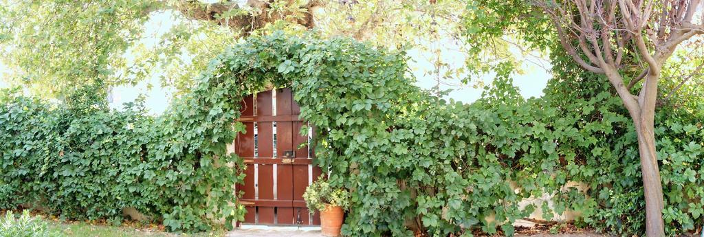 Villa The Platanus Tree Kato Vasiliki エクステリア 写真