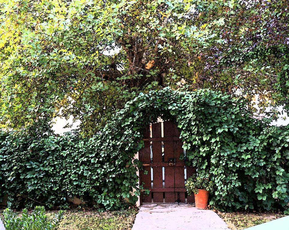 Villa The Platanus Tree Kato Vasiliki エクステリア 写真