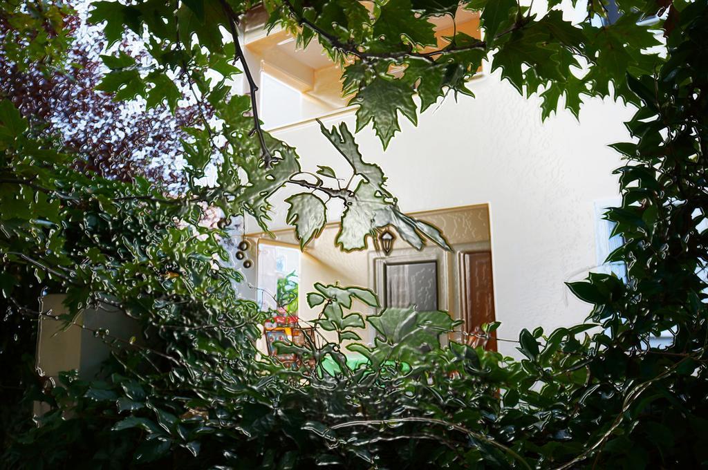 Villa The Platanus Tree Kato Vasiliki エクステリア 写真