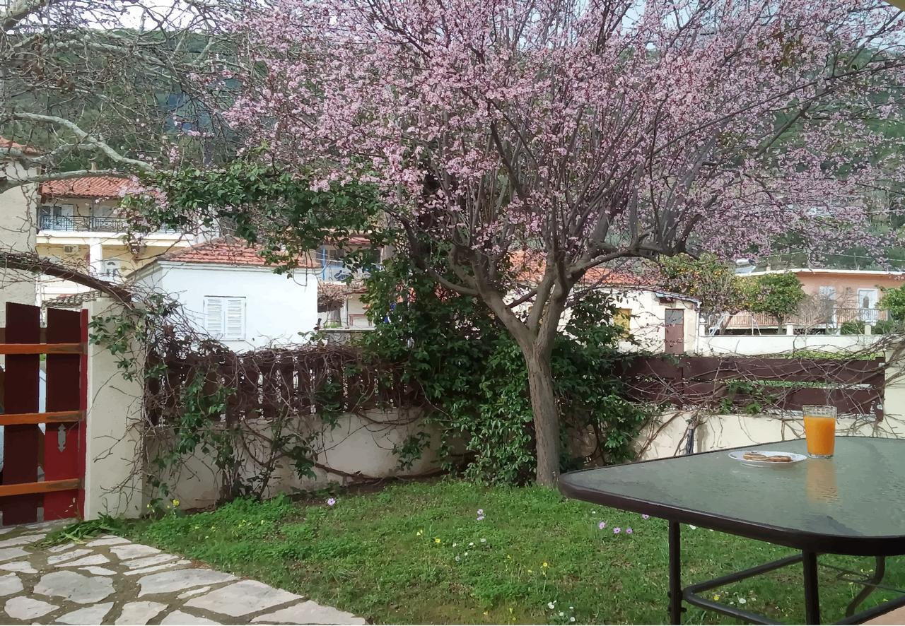 Villa The Platanus Tree Kato Vasiliki エクステリア 写真