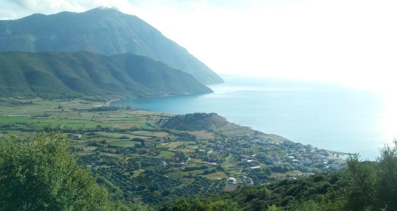 Villa The Platanus Tree Kato Vasiliki エクステリア 写真